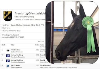 E-stevne og Hallmesterskap Unghest Arendal og Grimstad Rideklubb 24-27.10.2019